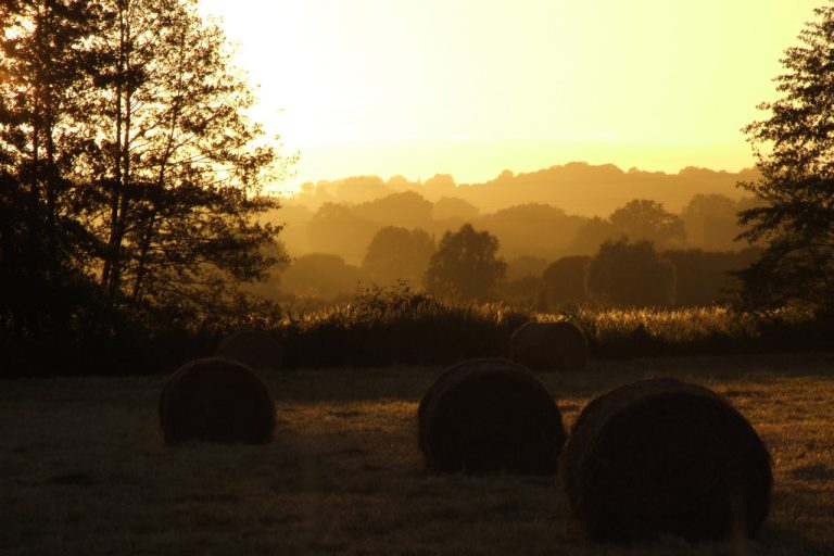 Songe d’après-midi tienté d’or