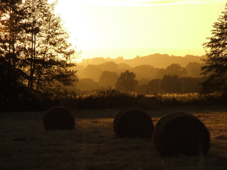 Songe d’après-midi tienté d’or