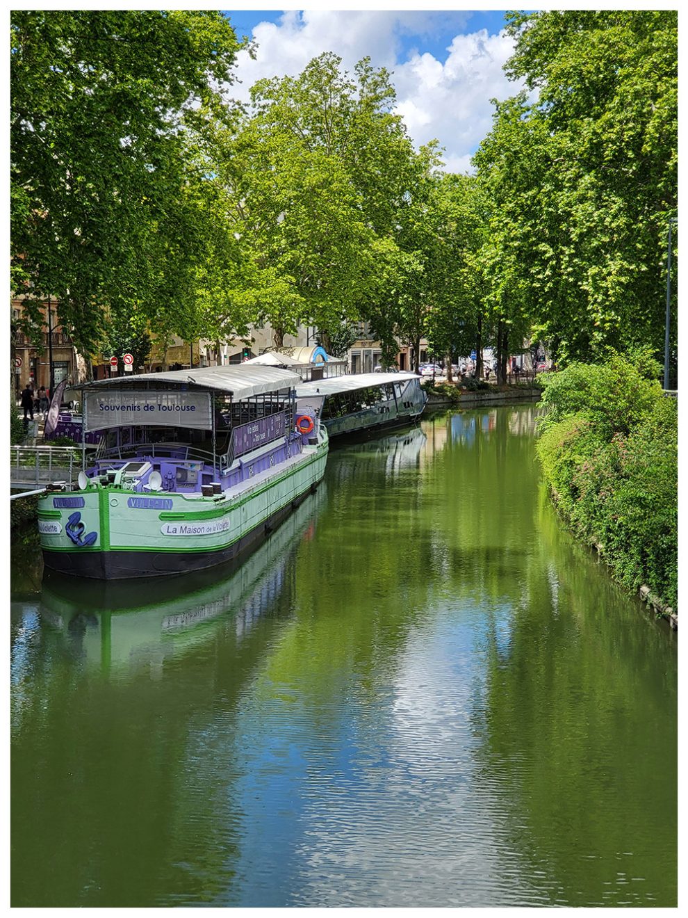 Canal en vers et goguette violette