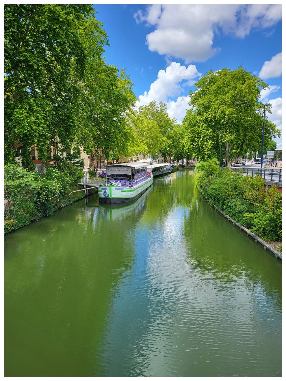 Zoom au vert d'un vers