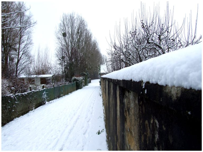 Suivez le chemin blanc...