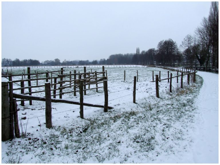 Chemin de travers d'hiver...