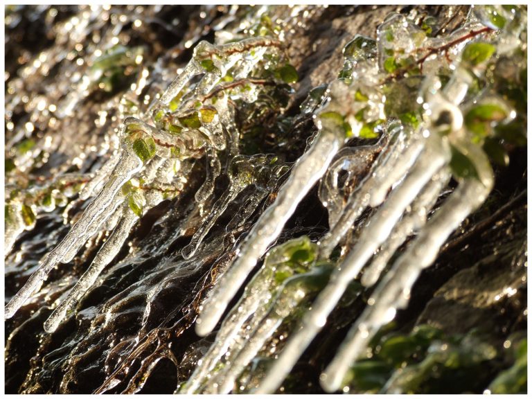 Larmoyante cascade.